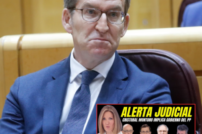 Feijóo en pánico: tiran de la manta, el caso Montoro salpica al Gobierno del PP y la justicia apunta a una trama que habría convertido Hacienda en un lobby al servicio de grandes empresas.HH