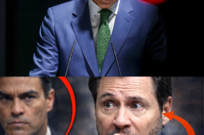 ¡ESCÁNDALO TOTAL EN MONCLOA! ¿EL FIN DE UNA ERA? EL JUEZ VILLEGAS ACORRALA A PEDRO SÁNCHEZ Y ÓSCAR PUENTE CON PRUEBAS IRREFUTABLES QUE PODRÍAN LLEVARLOS DIRECTO A PRISIÓN. LA TRAICIÓN QUE SACUDE LAS ESTRUCTURAS DE ESPAÑA SALE A LA LUZ: NINGÚN MINISTRO ESTÁ A SALVO EN ESTE GIRO INESPERADO QUE CAMBIARÁ LA HISTORIA POLÍTICA PARA SIEMPRE. ¡MIRA LOS DETALLES EXCLUSIVOS ANTES DE QUE CENSUREN ESTA VERDAD BOMBA!|TH