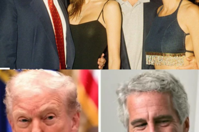 ¡Terremoto en Washington! La filtración definitiva que hace temblar los cimientos del poder: sale a la luz la identidad del poderoso aliado de Donald Trump oculto en los oscuros archivos de Jeffrey Epstein. Descubre cómo este vínculo secreto amenaza con desatar un escándalo sin precedentes que podría cambiar el curso de la política estadounidense mientras el mundo espera ansioso la verdad tras los nombres prohibidos.|TH