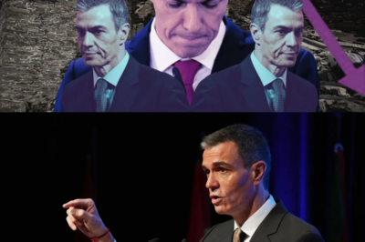 España al límite: cómo el Gobierno de Pedro Sánchez, entre salarios que no despegan, precios desbocados y pérdida de poder adquisitivo, empuja a millones de familias a una situación inédita, mientras los datos europeos encienden las alarmas y crece la sensación de que el país avanza hacia un empobrecimiento silencioso que muchos ya comparan con el peor escenario del continente|TH