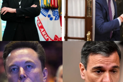 El choque entre Elon Musk y el Gobierno de Pedro Sánchez sube de nivel tras un nuevo ataque directo del dueño de X contra Yolanda Díaz, a la que acusa de “odiar al pueblo de España”, reavivando la polémica internacional, tensando la relación con Moncloa y abriendo un debate explosivo sobre censura, poder político y el papel de las redes sociales|TH