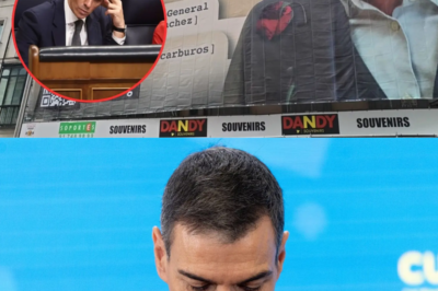 Revés inesperado para Sánchez en su pulso contra Hazte Oír: la juez descarta cualquier “relevancia penal” y deja sin efecto la ofensiva judicial contra la polémica lona. La resolución supone un golpe político que reaviva la batalla mediática y coloca el foco sobre los límites de la libertad de expresión. Pero este auto puede no ser el último capítulo…