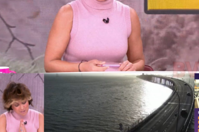 Un error garrafal, las redes en llamas y una presión imposible de esquivar. Sonsoles acaba pidiendo disculpas, sí… pero con retranca, dejando a muchos aún más indignados. Miradas de incredulidad y un gesto que no ha pasado desapercibido |BV