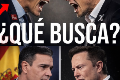 Nada fue casual. Todo estaba calculado. Durante días, Pedro Sánchez tensó la cuerda… hasta que Elon Musk explotó en redes |BV