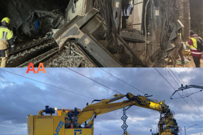 🚆 Los nuevos coletazos del accidente ferroviario de Adamuz: el foco vuelve a ponerse sobre Maquisaba, la empresa gallega que ahora aparece también señalada en una investigación que no deja de crecer 👀. Documentos, contratos y responsabilidades cruzadas alimentan las dudas sobre qué ocurrió realmente y quién falló en la cadena de decisiones ⚠️. Un caso que parecía cerrado se reabre con fuerza, suma nombres inesperados y promete nuevas revelaciones que pueden cambiar por completo el relato oficial del siniestro.