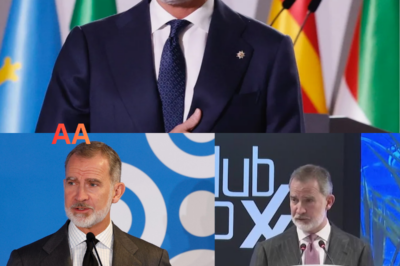 🤍 El gesto más humano de Felipe VI: el Rey envía un mensaje de “cariño” y cercanía a los afectados por el duro temporal en Andalucía 🌧️👑. Sus palabras, cargadas de empatía y apoyo, llegan en uno de los momentos más difíciles para muchas familias, reconfortan a los damnificados y refuerzan su imagen de compromiso institucional 👀. Un mensaje sencillo pero poderoso que busca acompañar, dar ánimo y recordar que no están solos ante la adversidad ⚠️