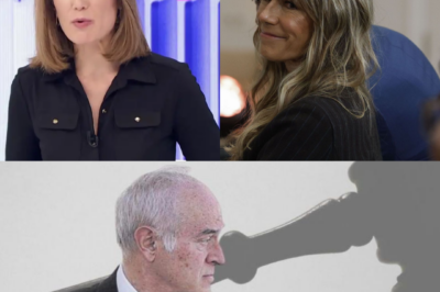 JUEZ PEINADO, EN EL PUNTO DE MIRA: LA DECISIÓN QUE PODRÍA CAMBIAR TODO EL CASO BEGOÑA GÓMEZ.HH