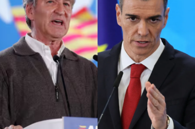 Explota la tensión en pleno directo: lo que parecía una acusación segura contra Pedro Sánchez termina torciéndose cuando Risto Mejide interviene con una pregunta inesperada… y la diputada del PP empieza a titubear mientras el plató queda en silencio.HH