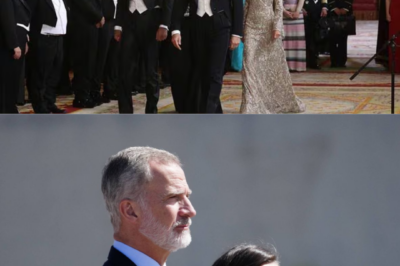 “Todo estaba previsto… hasta que algo lo cambió en el último momento.” El viaje de Felipe VI y Reina Letizia a Catar esta primavera ha sido cancelado, pese a que nunca llegó a confirmarse oficialmente. Una decisión tomada en silencio, con un motivo que va más allá de la agenda. Lo que parecía una visita más se detuvo de golpe… y deja una incógnita abierta: ¿qué factor decisivo obligó a frenar el viaje real?(hh)