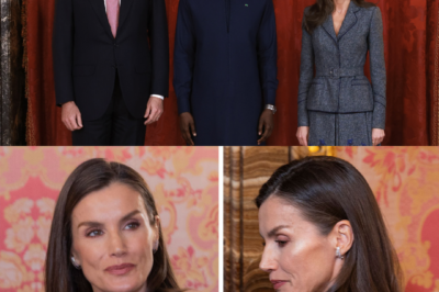 Siete veces. Un solo mensaje. La reina Letizia vuelve a apostar —por séptima vez— por el conjunto gris de Varela, con efecto cintura de avispa y flores bordadas, para su encuentro con el Bassirou Diomaye Faye. El escenario no es menor: el Palacio Real de Madrid. ¿Repetición o estrategia silenciosa? En la moda de Letizia, nada es casual.(hh)