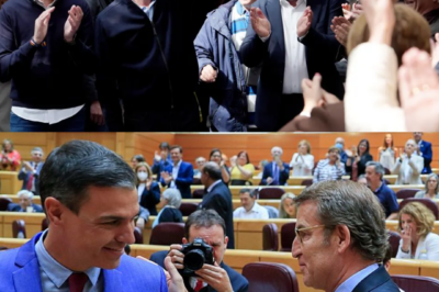 “Prometen 900 euros más en el bolsillo… y el plan ya está sobre la mesa.” El Partido Popular lanza su ofensiva económica con un paquete de rebajas fiscales que apunta directamente a las familias. Menos IRPF, menos IVA energético y un ahorro medio estimado de hasta 900 euros al año. Sobre el papel suena contundente. Pero mientras el partido vende alivio inmediato, la gran incógnita empieza a circular… ¿quién paga realmente el coste de esta promesa?(hh)