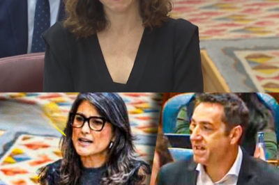 Entre bromas, provocaciones y ataques políticos, una intervención en la Asamblea de Madrid sacó a la luz una cadena de datos, empresas y contratos que ahora rodean a Isabel Díaz Ayuso, alimentando un debate explosivo sobre poder, dinero y las sombras que podrían esconderse detrás de algunas decisiones públicas.HH