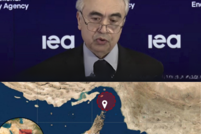 La International Energy Agency anuncia la mayor liberación de petróleo estratégico de la historia: 400 millones de barriles para frenar el caos en los mercados tras la crisis que amenaza el flujo por el Estrecho de Ormuz, mientras potencias energéticas como Arabia Saudita, Brasil e India siguen con atención una situación que inquieta al mundo.HH