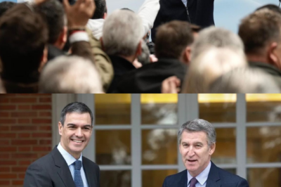 “Dicen que es un alivio urgente… pero el debate ya está servido.” El Partido Popular mueve ficha y propone duplicar la deducción por hijo en el IRPF y reducir al 10% el IVA de la energía para frenar el golpe de los precios. Las medidas llegarán al Congreso de los Diputados con la promesa de aliviar a las familias. Sobre el papel, el plan parece claro. Pero en los pasillos ya surge la pregunta incómoda… ¿será suficiente para contener la factura energética que no deja de subir?(hh)