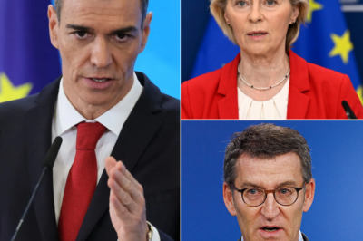 Pedro Sánchez desafía a Donald Trump y a Ursula von der Leyen en plena tormenta geopolítica: su “no” a la guerra sacude Europa, reabre el choque con Feijóo y Abascal y convierte a España en el inesperado epicentro de una inquietante batalla política que siembra dudas, tensión y miedo sobre el futuro del orden internacional.HH