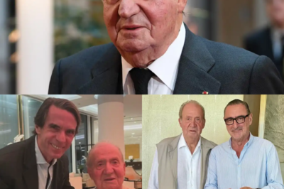 Los apoyos discretos, los viejos aliados y la red de poder que espera en silencio el movimiento definitivo de Juan Carlos I mientras crece la presión política y mediática sobre su posible vuelta a España.HH
