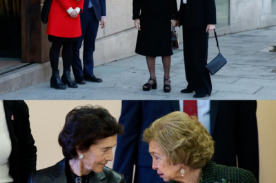 ¿Luto real o pacto oscuro? La Reina Sofía se encierra en su ‘círculo de hierro’ con Paloma O’Shea. Joyas misteriosas ocultan verdades. ¿Quién manipula la Corona? -(hn)