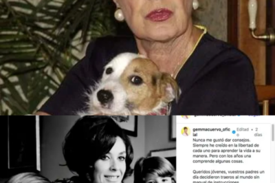 El trágico final de Gemma Cuervo a los 91 años destapa una oscura traición. Mientras la industria devora leyendas, ella luchó heroicamente. ¿Quién silenció realmente nuestra época dorada? -(hn)