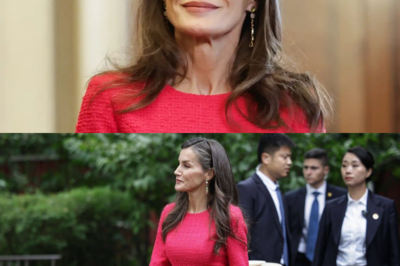 Tras su perfecto vestido rosa , la Reina Letizia y Felipe VI ocultan una jugada maestra. Huyen al Vaticano para reunirse con el Papa. ¿Qué oscuro secreto intentan bendecir? -(hn)