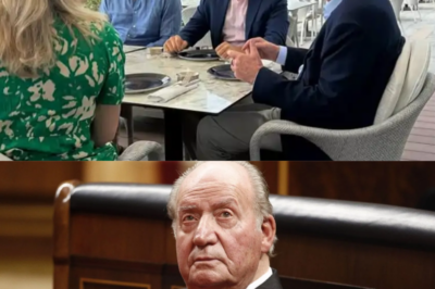 Abu Dabi arde y Juan Carlos busca al topo: “traición”. Debray confirma Granada, Zarzuela exige residencia fiscal, Sanxenxo se cae y Froilán aparece. ¿Quién filtra… y para qué? -(hn)