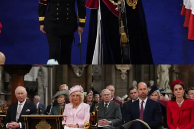 Westminster abre puertas, pero la Corona se cierra: Carlos III, Camilla, Guillermo y Kate salen a escena; Eduardo y Sofía desaparecen. Y Andrés y Harry susurran: ¿unidad o pánico? -(hn)