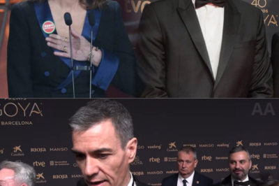 El detalle que muchos creen haber visto: Pedro Sánchez responde a Susan Sarandon… y las redes detectan algo inesperado |BV