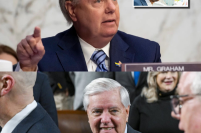 Lindsey Graham estalla contra el Ejecutivo de Pedro Sánchez: “aberración, no la norma”. Una frase cruza el Atlántico, España se divide y alguien queda señalado… aunque nadie lo admita.