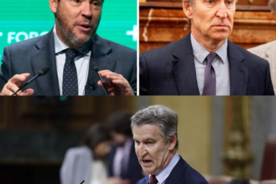 Un ataque que eleva la tensión: Óscar Puente apunta a Alberto Núñez Feijóo… pero sus palabras siembran dudas que van más allá del momento.