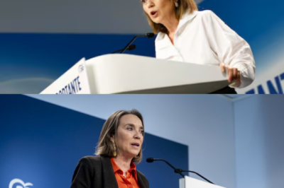 No es solo política… es una acusación directa. El PP avanza, Tezanos resiste… y alguien podría cruzar una línea sin retorno.