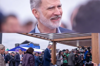 Histórico en Madrid: primera carrera de Fórmula E con Felipe VI presidiendo. Son imágenes de velocidad, pero también de estrategia: el Rey se alinea con el deporte del futuro.