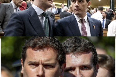 Rivera vuelve desde su “mundo mágico”; Casado reaparece entre defensa y fondos. Alguien filtró un mensaje, alguien miente… y España mira: ¿quién protege y quién cobra? BB