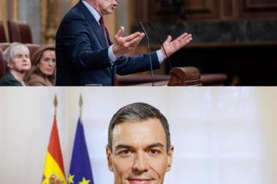 Un choque frontal sacude la política: Alberto Núñez Feijóo apunta a Pedro Sánchez… y menciona una estrategia que cambia el tablero.