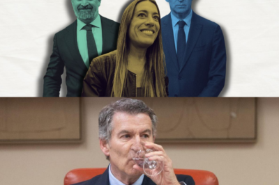 Lo tumbaron con una mayoría incómoda: PP, Vox y Junts. El Gobierno se queda sin escudo y el ciudadano sin calma. ¿Fue estrategia… o un aviso a alguien?