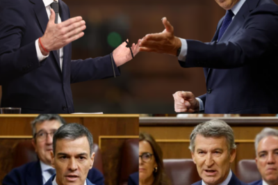 Sánchez desafía a Feijóo en el Congreso: la pregunta que encendió el debate sobre la guerra y las ayudas |BV