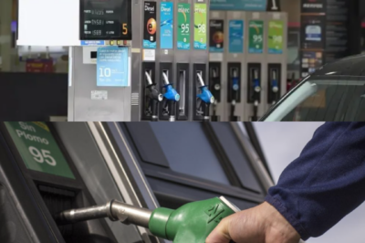 Un fallo de Hacienda deja sin combustible al 4.º mayor distribuidor de España: 570 gasolineras al límite. Un sello decide el país… y alguien gana con el caos. ¿Quién movió el papel?
