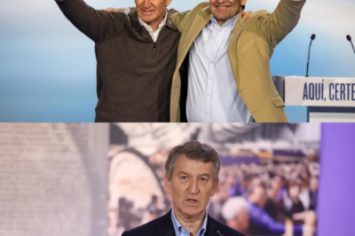 Feijóo abronca a sus alcaldes y la sala se parte en dos. Nadie mira a nadie. Un móvil vibra, un audio corre, y el PP amanece con una guerra interna.