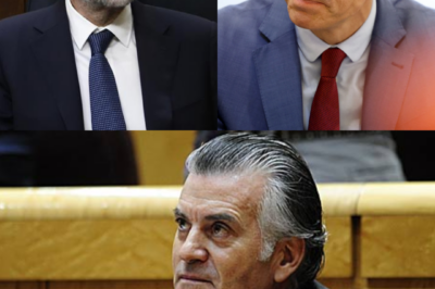 BOMBAZO POLÍTICO: Luis Bárcenas señala a Mariano Rajoy y destapa la sombra de la “caja B” del Partido Popular.HH