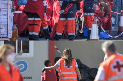“Hasta aquí”… y la amenaza ya está sobre la mesa. La Comunidad de Madrid se planta ante el Gobierno de España y rechaza nuevos traslados de menores migrantes al margen de la ley. Advierte de acciones judiciales si Moncloa mantiene un sistema extraordinario sin cobertura jurídica. Un pulso institucional que se endurece… y cuyo desenlace aún no está escrito.(hh)