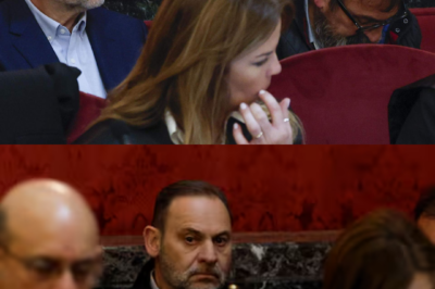 “No ha terminado… acaba de empezar.” Koldo García irrumpe en el caso Mascarillas y caldea el juicio con una advertencia explosiva: presentará pruebas para “reventarlo”. Asegura que demostrará su inocencia y que no tiene nada que ver con la trama que sacude al entorno de José Luis Ábalos. El tribunal se prepara… porque lo que está a punto de salir podría cambiarlo todo.(hh)