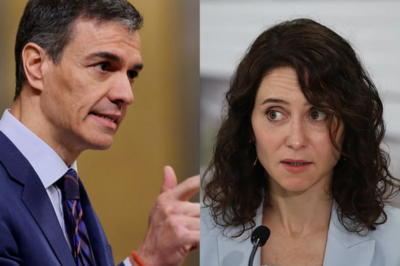EXPLOTA TODO: Pedro Sánchez MUEVE FICHA EN LA SOMBRA Y Isabel Díaz Ayuso ENTRA EN PÁNICO CUANDO SALEN NOMBRES PROHIBIDOS… ¿QUÉ INTENTAN TAPAR ANTES DE LOS TRIBUNALES?HH