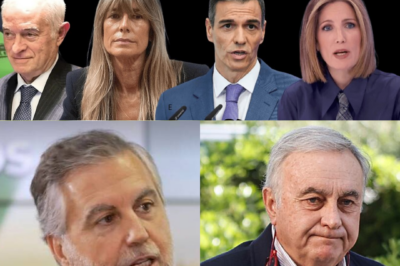 ¡SE ROMPE TODO! ALSINA EXPLOTA CONTRA EL CASO BEGOÑA GÓMEZ Y DEJA AL JUEZ CONTRA LAS CUERDAS.HH