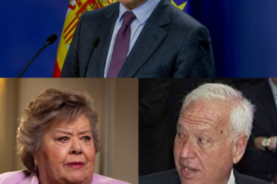 HUMILLACIÓN HISTÓRICA A José Manuel García-Margallo: LA HEMEROTECA DINAMITA SU DISCURSO Y EXPONE AL Partido Popular POR COPIAR A Vox.HH