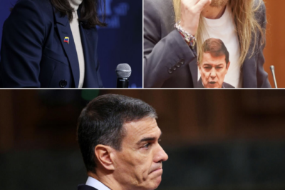 FERNÁNDEZ DESTROZA A MACHADO Y LA SEÑALA COMO ULTRADERECHA.HH