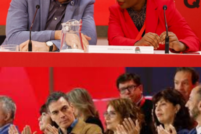 “Llegaron los africanos, llamen a la policía.” La frase quedó grabada. Y también los vídeos. Las imágenes que ahora salen a la luz prueban el acoso vivido por Benedicta Lasi, exsecretaria de la Internacional Socialista, tras ser cesada unilateralmente por Pedro Sánchez, sin votación. Ferraz, puertas cerradas. Acceso bloqueado. Escenas de tensión creciente mientras se le impide entrar a la sede que hasta hace poco era su lugar de trabajo. ¿Un conflicto interno… o una expulsión que desnuda algo más profundo dentro del poder?(hh)