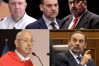 TERREMOTO JUDICIAL: un catedrático destapa posibles grietas en el caso de José Luis Ábalos y lanza la gran pregunta que lo cambia todo… ¿dónde está realmente el supuesto dinero ilegal?