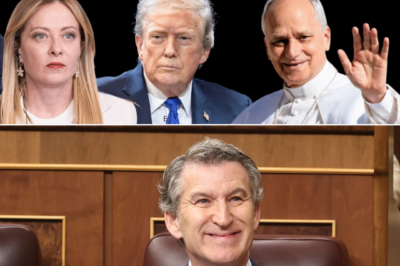 Choque político inesperado: Alberto Núñez Feijóo queda en el centro de la tormenta tras un vídeo viral que desata comparaciones incómodas con Italia, silencio ante Trump y una escena que deja una pregunta inquietante en el aire: ¿quién está defendiendo realmente la soberanía y el patriotismo en Europa?HH
