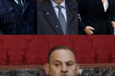 La escena que nadie esperaba… y una confesión que lo sacude todo. Arranca el juicio contra José Luis Ábalos, Koldo García y Víctor de Aldama. El hermano de Koldo admite que acudió dos veces a Ferraz para recoger dinero. Ábalos y Koldo llegan en furgón policial desde Soto del Real, en prisión provisional desde el 27 de noviembre. Aldama entra caminando, junto a su abogado. Las imágenes hablan… pero lo peor podría venir después.(hh)