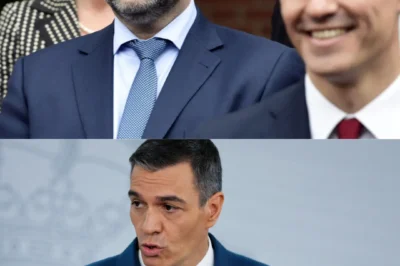 PÁNICO EN LA MONCLOA: EL ESCÁNDALO FINAL ANTES DEL JUICIO A SÁNCHEZ   ¿Qué prueba corrupta e inesperada ha estallado contra las personas de máxima confianza del Presidente a horas de sentarse en el banquillo y el motivo aterrador por el que el miedo a una sentencia demoledora ha activado un “protocolo de fuga” en el entorno del Gobierno? Hay una filtración de última hora que el sistema intentó borrar và một sự thật chấn động mà hệ thống không còn có thể che giấu: este nuevo escándalo es el último clavo en el ataúd de una realidad que la historia ya ha sentenciado como el fin de la era Sanchista.