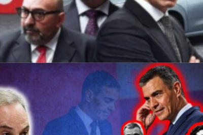 [SENTENCIA DE MUERTE: LA FRASE QUE DINAMITA AL PSOE POR LA VENGANZA INCONFESABLE DE SÁNCHEZ CONTRA ÁBALOS] 🚨 ¿Qué detalles sórdidos de las orgías y qué informes ocultos de Cerdán desataron la furia del presidente, y el motivo aterrador por el que se ha activado un “protocolo de aniquilación” para borrar a Ábalos del mapa tras este golpe letal? 🏛️ Hay una verdad demoledora que el sistema ya no puede ocultar: este es el fin de la impunidad en Ferraz. 📉