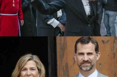 [LISTA DE VERIFICACIÓN DEL REY: EL ULTIMÁTUM DEL EXPERTO QUE EXPONE LA “DEBILIDAD” DE FELIPIE VI ANTE LOS RELACIONES DE SANGRE] ¿Qué decreto constitucional no revelado ignoró el rey para proteger a su familia, y qué horribles motivos llevaron al temor de un colapso dinástico que desencadenó un “protocolo de aislamiento” dentro de los muros del palacio de la Zarzuela? Hay una traición al deber que el sistema ha tratado de minimizar y una verdad impactante que ya no puede ocultar: esta crítica pública es la advertencia final contra una realidad que la historia ha condenado como el fin de priorizar la familia sobre la supervivencia de la monarquía.